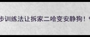 哈士奇不叫训练法3步训练法让拆家二哈变安静狗90家长不知道的秘诀