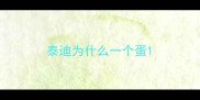 泰迪为什么一个蛋