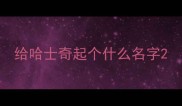 给哈士奇起个什么名字