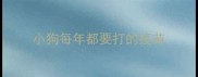 小狗每年都要打的疫苗
