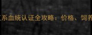 拉布拉多琼尼直系血统认证全攻略价格饲养指南与健康保障