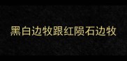 黑白边牧跟红陨石边牧
