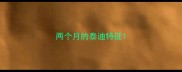 两个月的泰迪特征