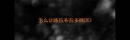 怎么训练拉布拉多唤回