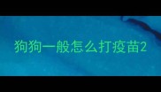狗狗一般怎么打疫苗