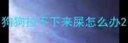 狗狗拉不下来屎怎么办