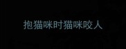 抱猫咪时猫咪咬人