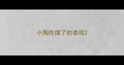 小狗吃撑了的表现