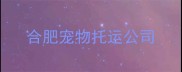合肥宠物托运公司