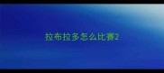 拉布拉多怎么比赛