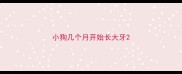 小狗几个月开始长大牙