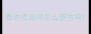 泰迪疫苗间怎么驱虫吗