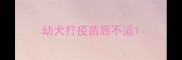 幼犬打疫苗后不适