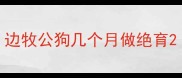 边牧公狗几个月做绝育