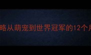 边牧训练全攻略从萌宠到世界冠军的12个月养成计划