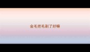 金毛把毛剃了好嘛