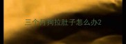 三个月狗拉肚子怎么办