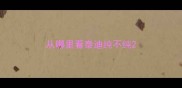 从哪里看泰迪纯不纯