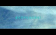 金毛关节处发红脱皮