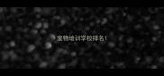 宠物培训学校排名