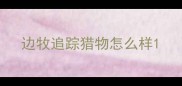 边牧追踪猎物怎么样