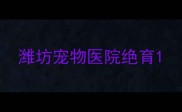 潍坊宠物医院绝育