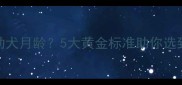 如何挑选幼犬月龄5大黄金标准助你选到健康美犬