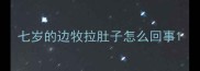 七岁的边牧拉肚子怎么回事