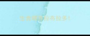 生食喂养拉布拉多