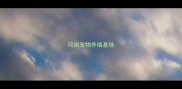 河南宠物养殖基地