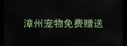 漳州宠物免费赠送