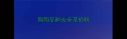 狗狗品种大全及价格