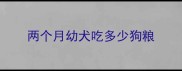 两个月幼犬吃多少狗粮