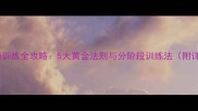 金毛犬跟随训练全攻略5大黄金法则与分阶段训练法附详细教程