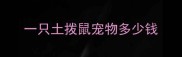 一只土拨鼠宠物多少钱
