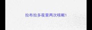 拉布拉多夜里两次咳嗽