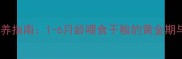 泰迪幼犬喂养指南1-6月龄喂食干粮的黄金期与注意事项