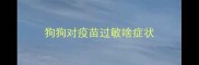 狗狗对疫苗过敏啥症状