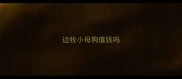 边牧小母狗值钱吗