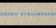 金毛疫苗未完成能洗澡吗新手养犬必看的疫苗接种与洗澡指南