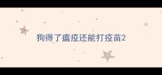 狗得了瘟疫还能打疫苗