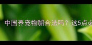 最新指南中国养宠物貂合法吗这5点必须知道