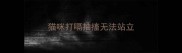猫咪打嗝抽搐无法站立