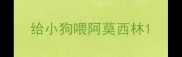 给小狗喂阿莫西林