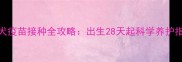 幼犬疫苗接种全攻略出生28天起科学养护指南
