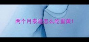 两个月泰迪怎么吃蛋黄
