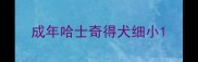 成年哈士奇得犬细小