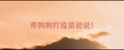 带狗狗打疫苗说说
