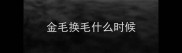 金毛换毛什么时候
