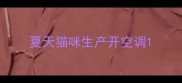 夏天猫咪生产开空调